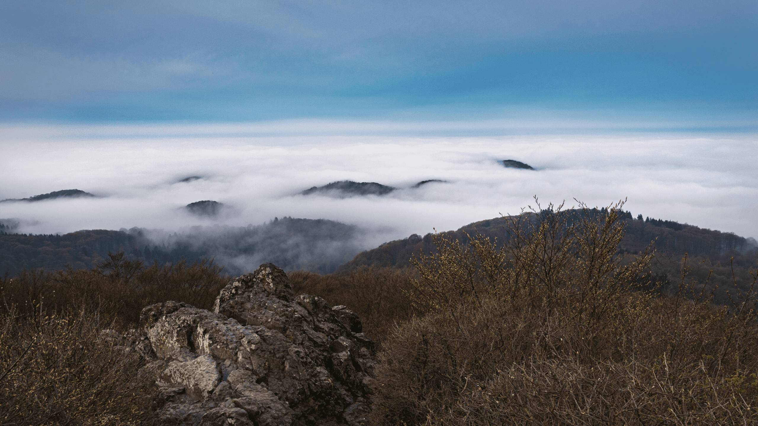 Siebengebirge im nebel
